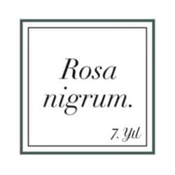 Rosa Nigrum